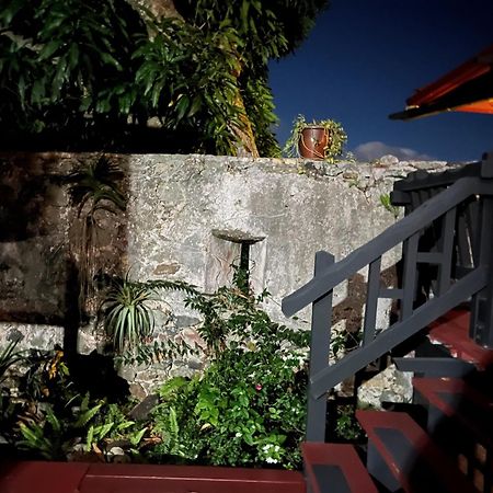 Mid-Century: Caribbean Style Apartment Contant  Bagian luar foto