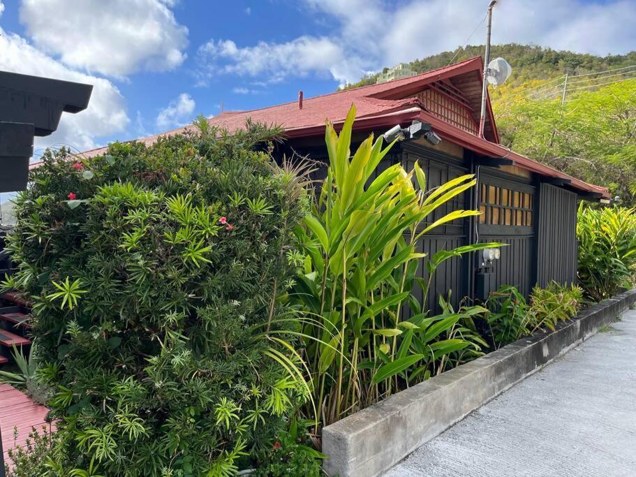 Mid-Century: Caribbean Style Apartment Contant  Bagian luar foto